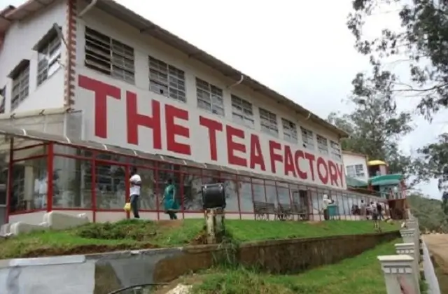 DODDABETTA TEA FACTORY AND MUSEUM IN PLACES TO VISIT IN OOTY