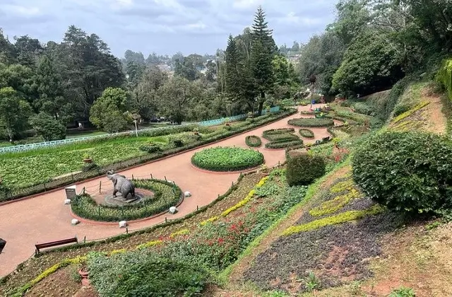 GOVERNMENT BOTANICAL GARDENS IN PLACES TO VISIT IN OOTY