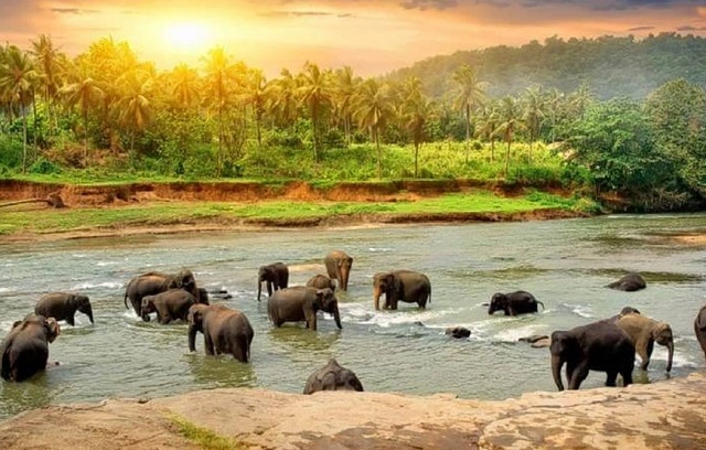 Places to Visit Kerala