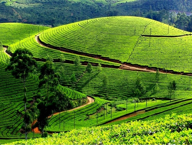 Places to Visit Kerala