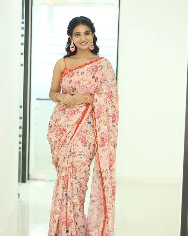 ananya nagalla lifestyle and photos