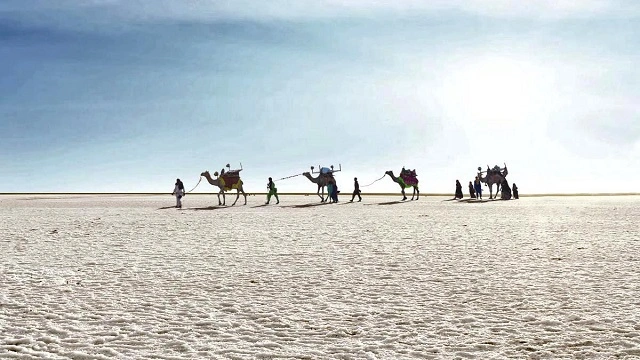 Great Rann of Kutch
