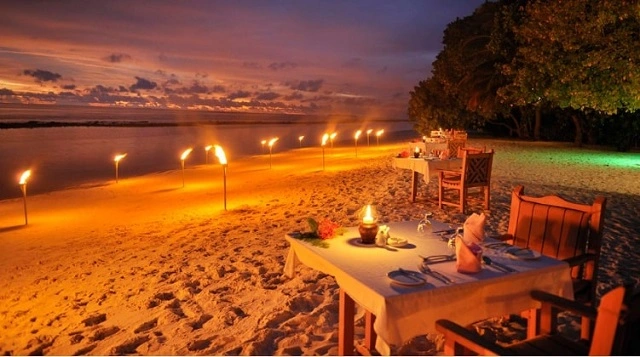 baga beach goa night life