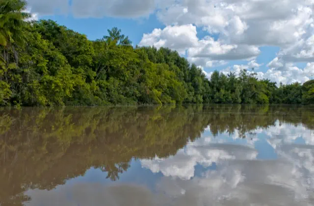 Amazon forest mysteries in Telugu