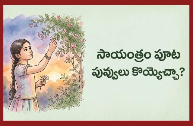 Can We Pluck Flowers In Evening