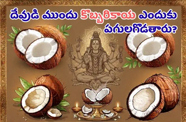 Significance of breaking coconut in temple
