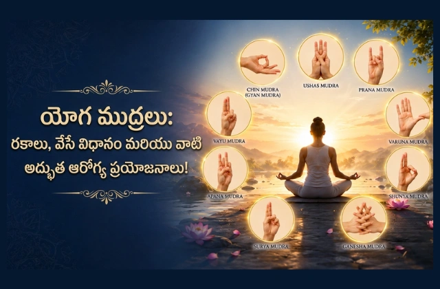 Yoga Mudras in Telugu