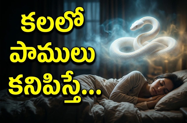 Kalalo pamulu kanipisthe meaning in telugu