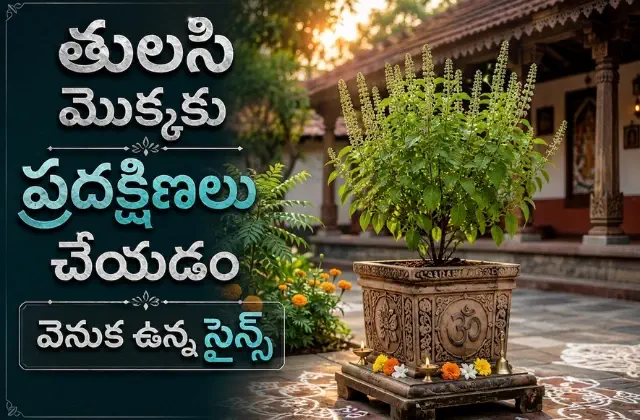 Scientific Reasons Behind Tulsi Pooja in Telugu