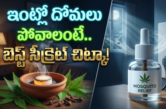 homemade mosquito repellent liquid