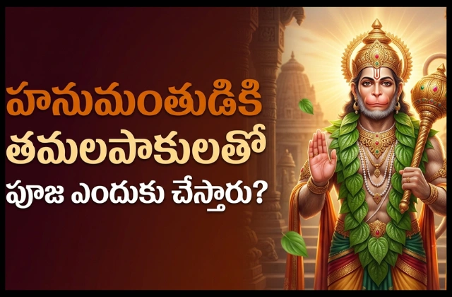 why is betel leaf offered to hanuman telugu