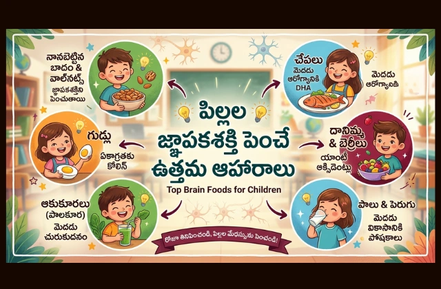 Brain Foods for Kids in Telugu