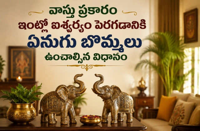 Vastu Elephant Placement
