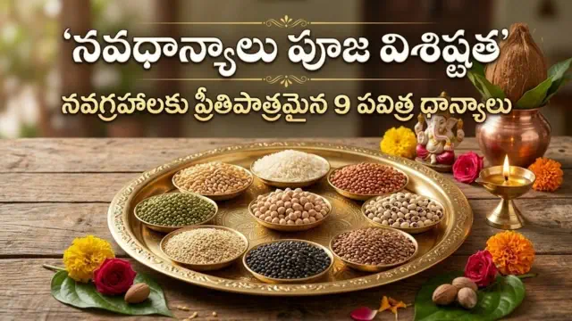 Navadhanyalu Pooja Significance