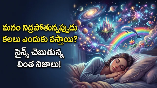 Why do we dream scientific reasons