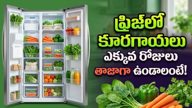 How to keep vegetables fresh in refrigerator longer