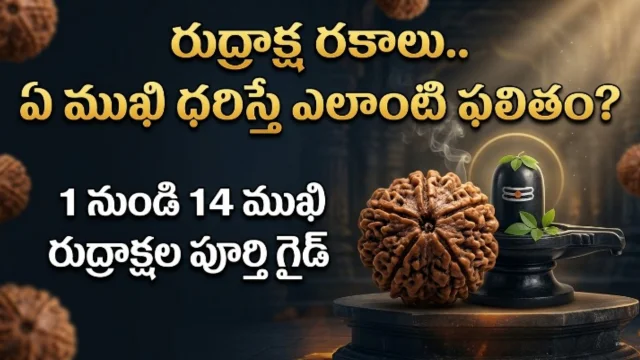 Rudraksha Types and Benefits